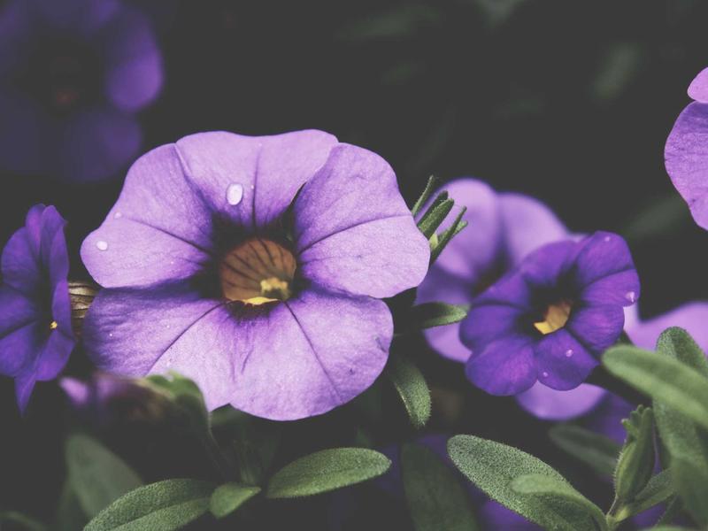 sudoku mac app screenshot 6